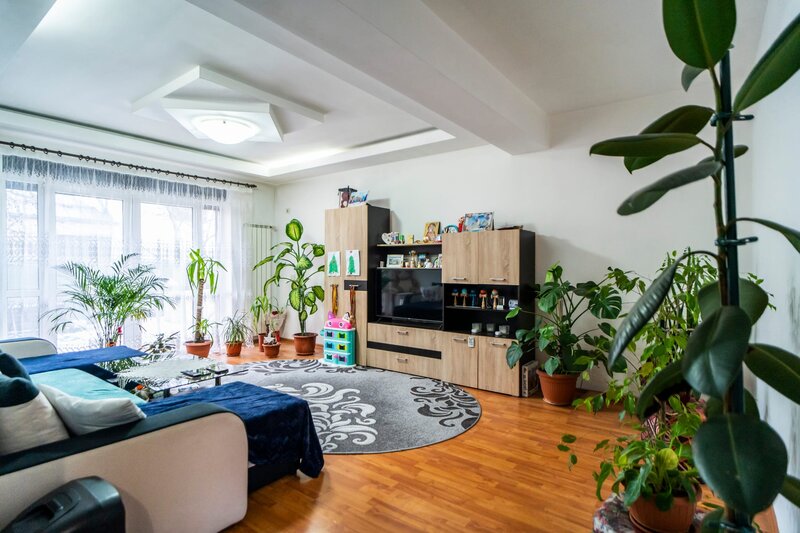 Ciorogarla casa 5 camere, P+1Et+Pod, teren 434 mp, STB la 300m, COMISION 0%
